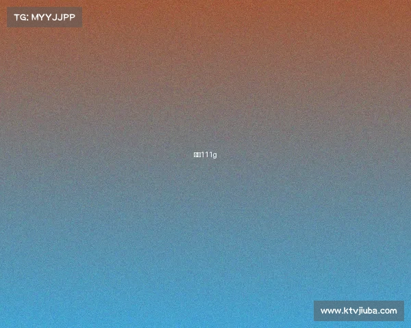 吉尔111g 吉尔111g